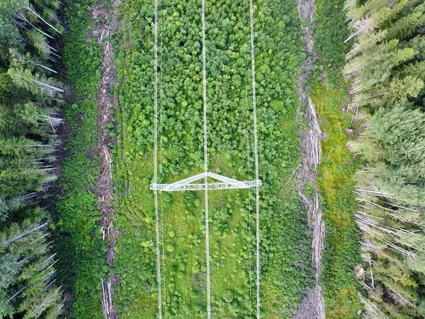 Vista aérea de cima para baixo das linhas de energia localizadas na floresta . — Fotografia de Stock