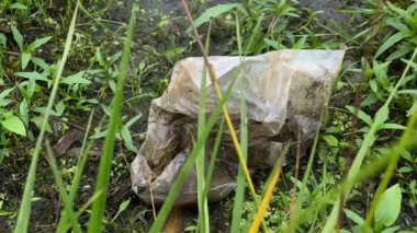 Suda bir plastik torba var, doğa kirliliği videosu 4K, yakın çekim. 