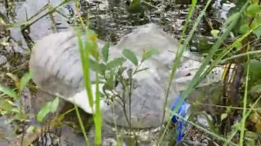 Plastik şişe suda yüzüyor, 4k video, su kirliliğine yakın çekim
