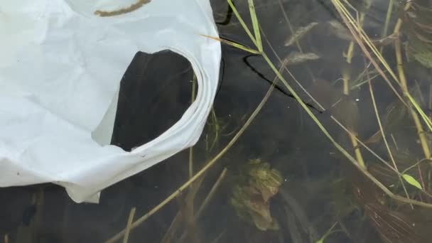 Um saco de plástico encontra-se na água, natureza poluição vídeo 4k, close-up — Vídeo de Stock