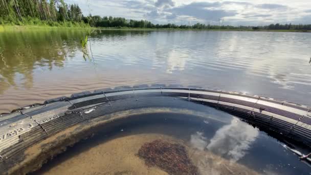 Старое резиновое колесо лежит в воде 4k видео, загрязнение воды — стоковое видео