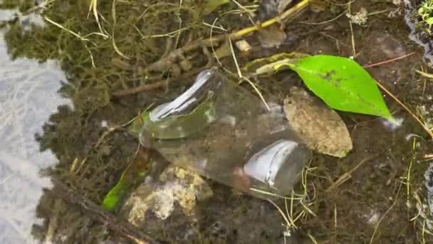 Пластик кинутий у воду, крупним планом, відео 4k — стокове відео