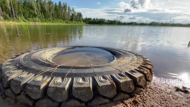 Old rubber wheel lies in the water 4k video, water pollution — Stock Video