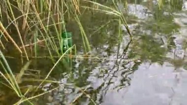 Plastik şişe suda yüzüyor, 4k video, su kirliliğine yakın çekim