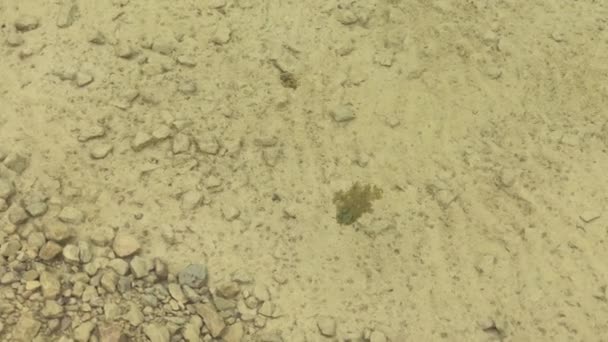 Alte verlassene Sandgrube an einem trüben Sommertag — Stockvideo