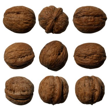 İzole edilmiş beyaz arka planda kurutulmuş ceviz seti.