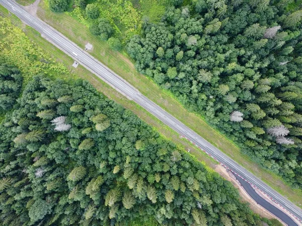 낮에 찍은 항공 사진이 있는 여름 숲 속 도로 — 스톡 사진