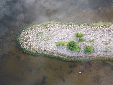 Leningrad bölgesindeki yarımadanın yukarıdan aşağıya doğru görüntüsü