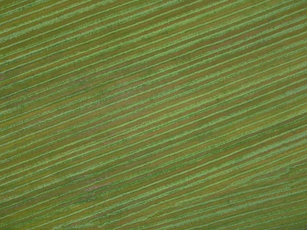 Légi. Zöld fű textúra háttér. Felülnézet drónról. — Stock Fotó