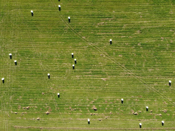 Aerial view of square hay bales in field after harvest