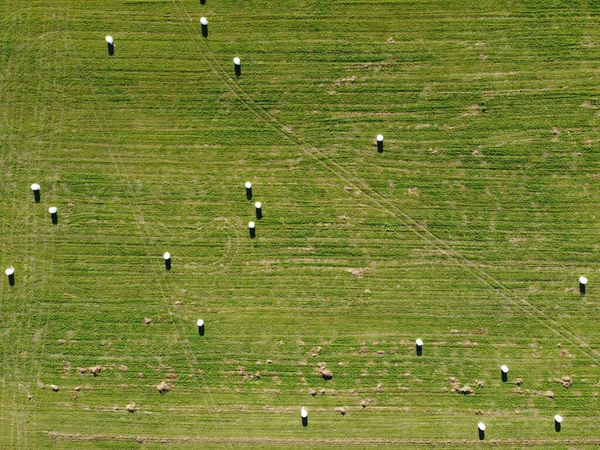 Aerial view of square hay bales in field after harvest — Stock Photo, Image