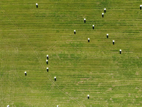 Aerial view of square hay bales in field after harvest