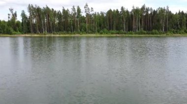 Ormanın gölet manzaralı 4k video