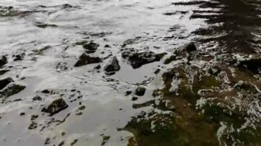 Stone Coast, yakın çekim, video 4k