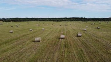 Hasattan sonra tarladaki kare saman balyalarının havadan görünüşü