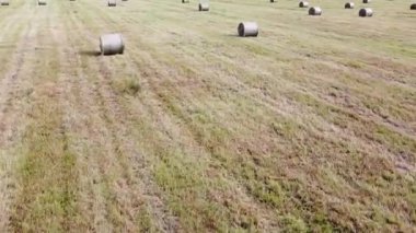Hasattan sonra tarladaki kare saman balyalarının havadan görünüşü