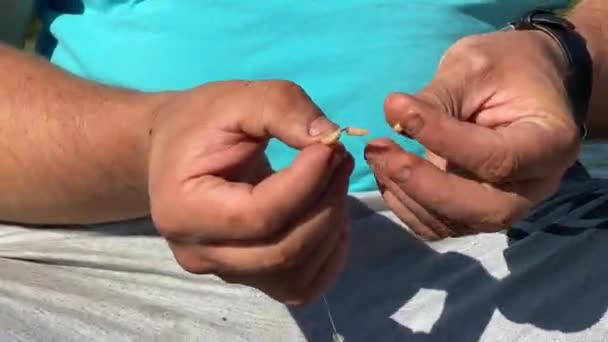 Muž dává červa na háček, zblízka — Stock video