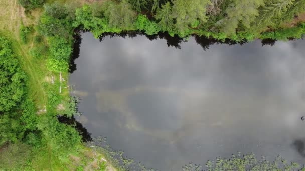 Lagoa da floresta vista aérea 4k vídeo — Vídeo de Stock