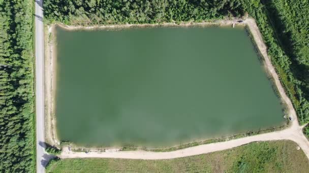 Lagoa da floresta vista aérea 4k vídeo — Vídeo de Stock