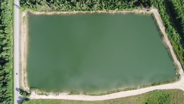 Lagoa da floresta vista aérea 4k vídeo — Vídeo de Stock