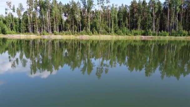 Lagoa da floresta vista aérea 4k vídeo — Vídeo de Stock