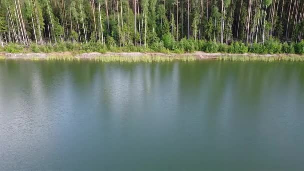 Lagoa da floresta vista aérea 4k vídeo — Vídeo de Stock