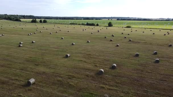 Luchtfoto van vierkante hooibalen in het veld na de oogst — Stockvideo