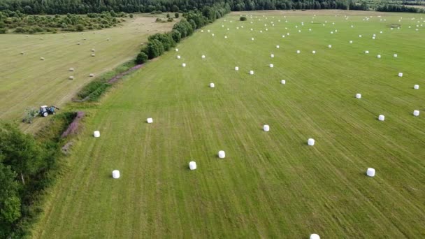 Flygfoto över fyrkantiga höbalar i fält efter skörd — Stockvideo