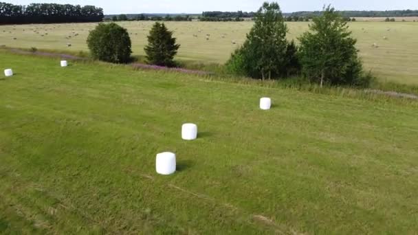 Вид с воздуха на квадратные тюки сена в поле после сбора урожая — стоковое видео