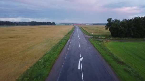 Video in prima persona, di un drone che vola tra due campi al tramonto — Video Stock