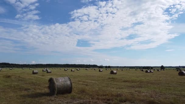 Luchtfoto van vierkante hooibalen in het veld na de oogst — Stockvideo