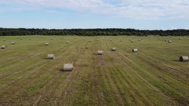 Luchtfoto van vierkante hooibalen in het veld na de oogst — Stockvideo