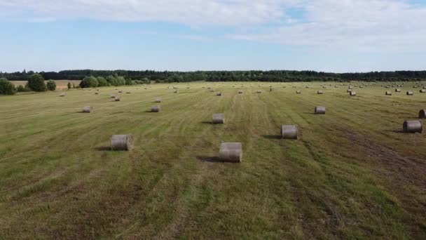 Letecký pohled na hranaté balíky sena na poli po sklizni — Stock video