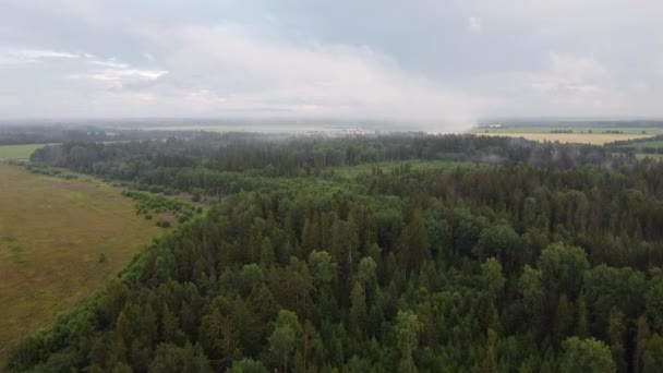 Vista superior de un bosque verde en llamas, vídeo aéreo — Vídeo de stock