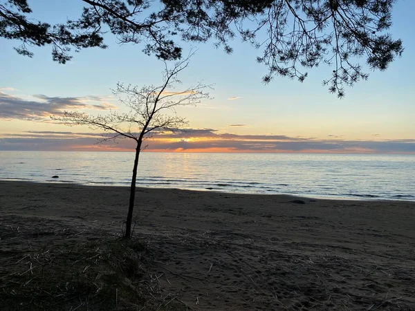 Sommersonnenuntergang am Ufer des Finnischen Meerbusens — Stockfoto