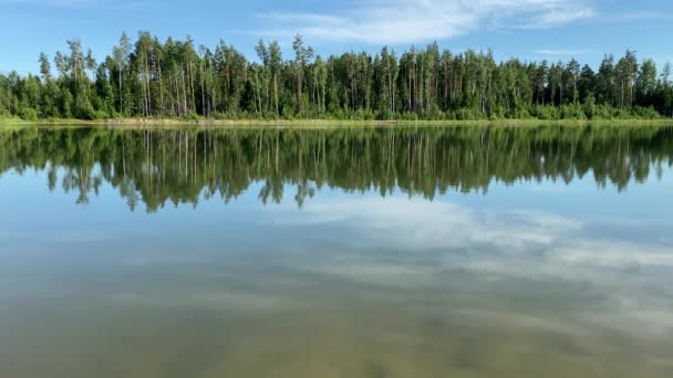 Statikus videó, tavacska nappal, video 4k — Stock videók