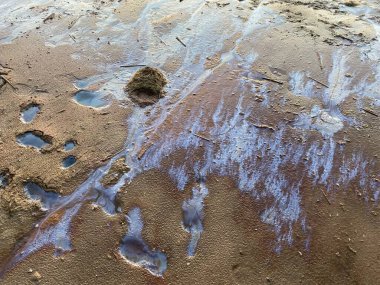 Kumsaldaki petrol lekeleri çevresel felaket