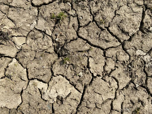 乾燥した土壌の背景トップビュー — ストック写真