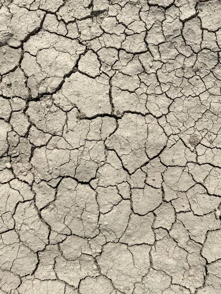 Dried cracked soil background top view — Stock Photo, Image