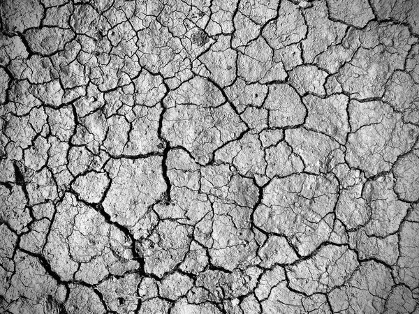 乾燥した土壌の背景トップビュー — ストック写真