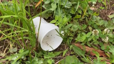 Beyaz plastik bardak çimenlerin üzerinde, yakın plan, gezegenin kirliliği