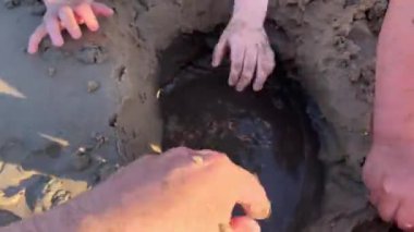 İnsanlar kumda bir çukur kazıyor, yakın çekim POV videosu.