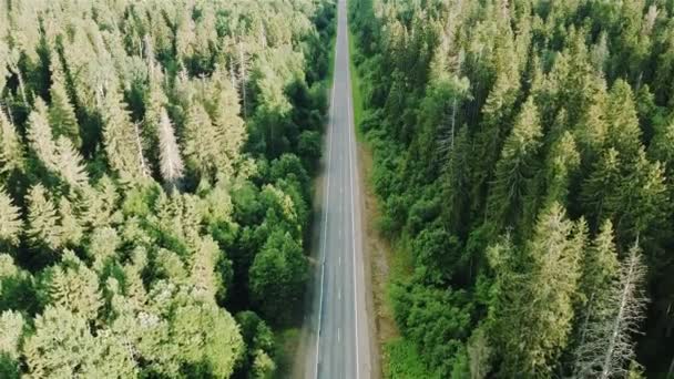 Vue de la route de campagne d'en haut, levé aérien 4k — Video