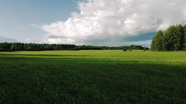 从一个4k高的视频观看绿地 — 图库视频影像