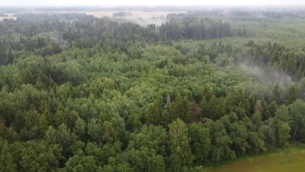 一个燃烧的绿色森林的顶部视图，空中视频 — 图库视频影像
