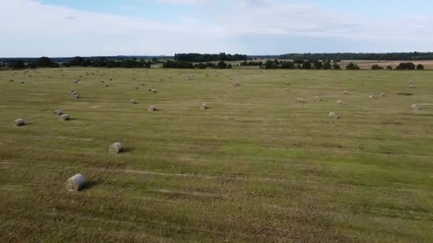 Luchtfoto van vierkante hooibalen in het veld na de oogst — Stockvideo