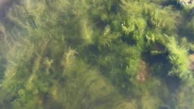 Su deposunun kıyısındaki taşlar.