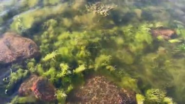 Su deposunun kıyısındaki taşlar.