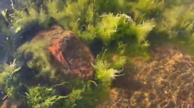 Su deposunun kıyısındaki taşlar.