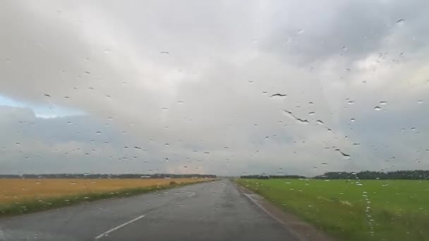 Reizen met de auto tijdens een zomerse regen op een landweg — Stockvideo